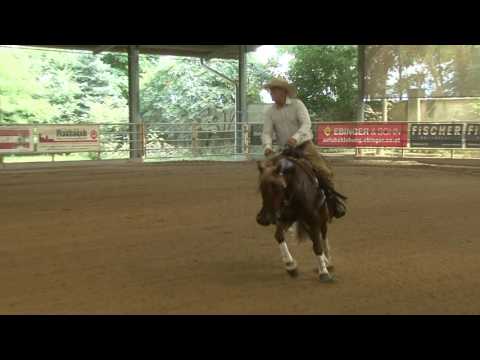 B MY SWEET DREAM  & Markus Schöpfer --- AUT FUTURITY --- August 2016