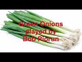 “Green Onions” played by Bob Piorun
