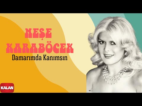 Video thumbnail for Damarımda Kanımsın