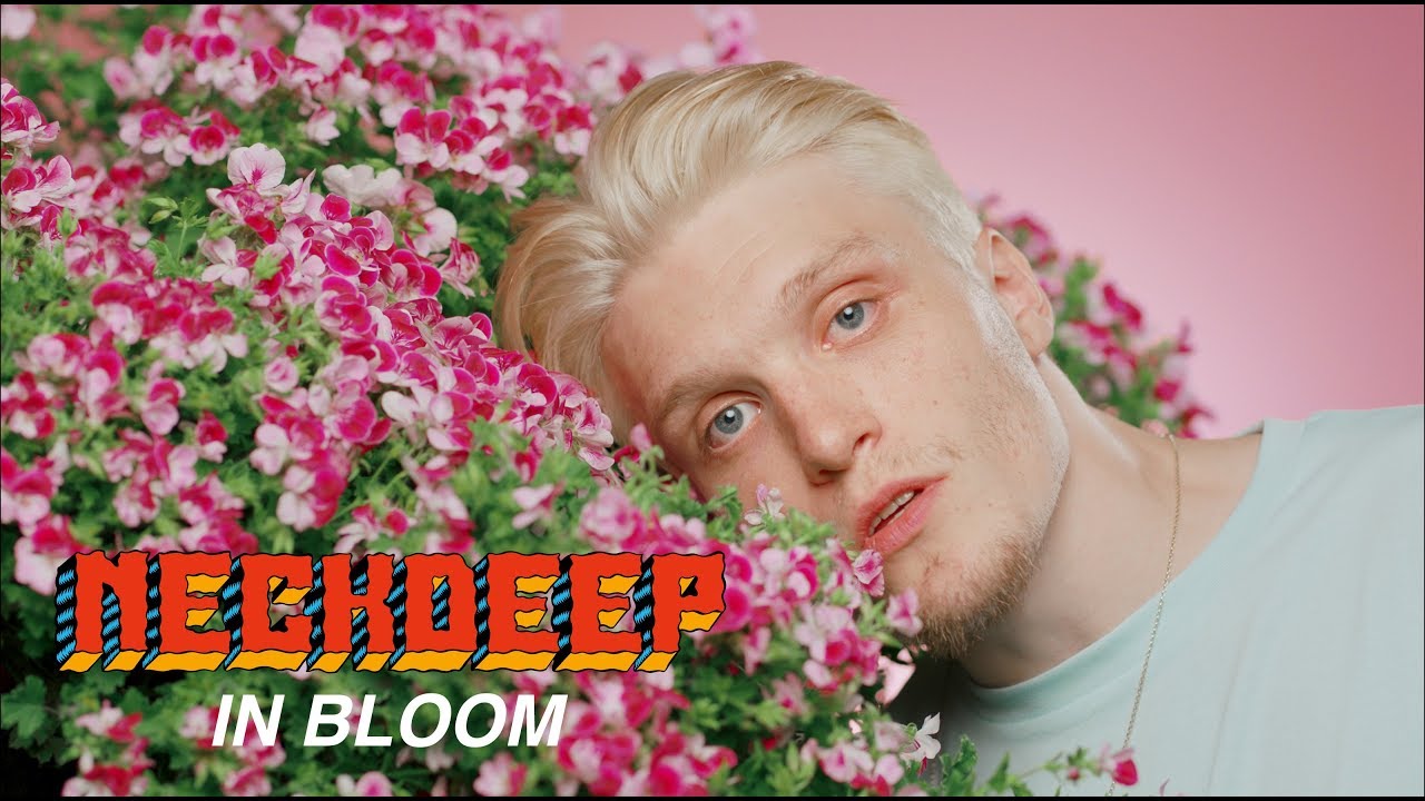 Neck Deep - In Bloom (Official Music Video) - YouTube