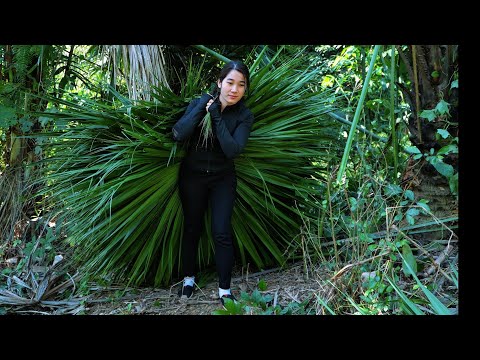 Trieu Cam went alone to collect a lot of leaves to build a small kitchen.