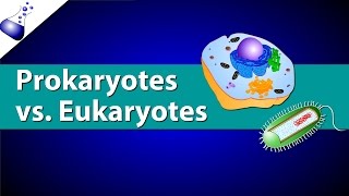 Prokaryotic Vs. Eukaryotic Cells