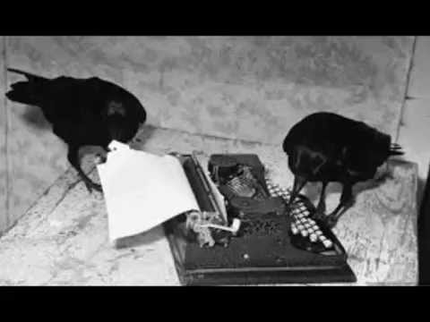 VOMITORZ - LA CORNACCHIA - ft.Sig. Malinconia ( Mc Bbo Skanda Prod. MadRock )