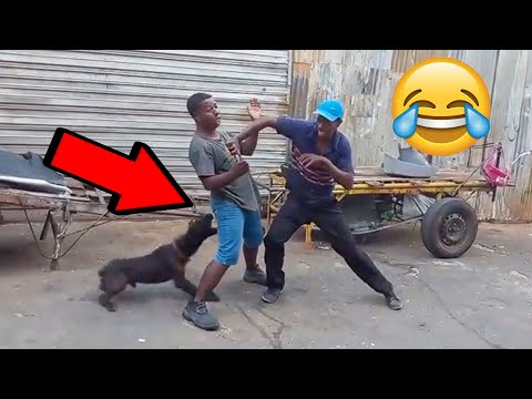 TRY NOT TO LAUGH CHALLENGE 😂Top 100 Funniest Videos Ever // memes , Epic Fails & Pranks Compilation