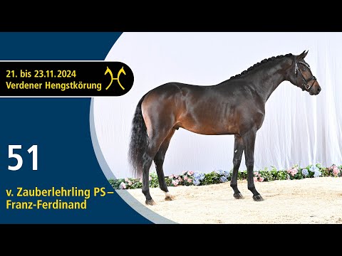 No. 51 Stallion by Zauberlehrling PS - Franz-Ferdinand | Verden Stallion Licensing 2024 - Nov. 22/23