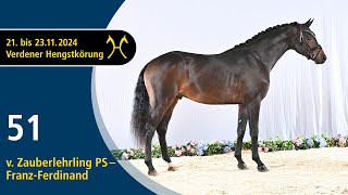 Video koně Zauberer