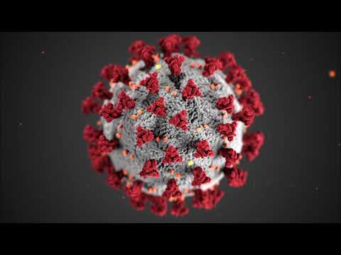 Coronavirus Anthem