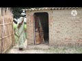 NewBhojpuriComedy