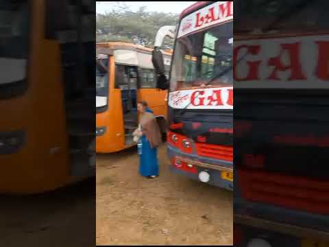 Mini Bus Rental Services, Diesel