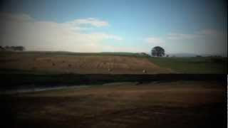 Priscilla Ahn - Living in a Tree