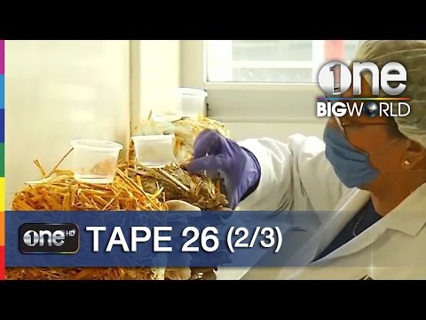 Japan Jav Porn #272608 (RQ2C7i2StCc) Thumbnail