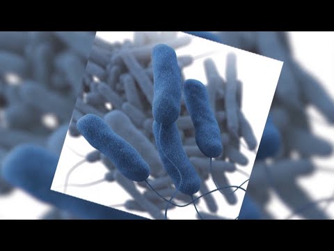 NYC Dept. Of Public Health To Host Virtual Meeting On Legionnaires Disease