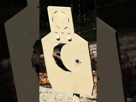 New Wilson Combat Division 77 Project 1 First Shots