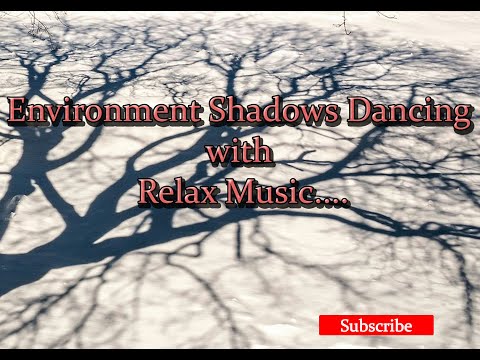 Relaxing music with shadows in nature