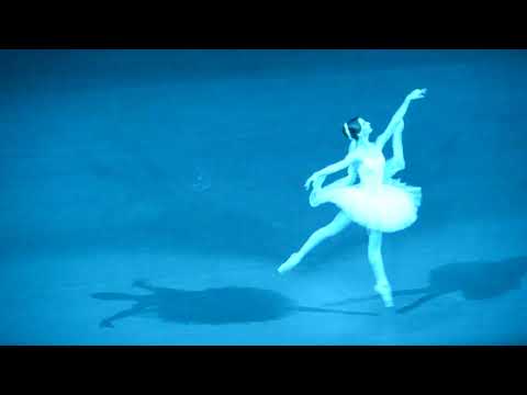 16.01.2019 Anna Tikhomirova as The 2nd Shade Variation in La Bayadere