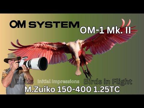 Canon photographer tries OM System OM-1 Mk. II for birds and birds in flight