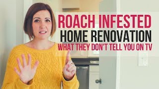 My Cockroach Infestation Home Renovation (6 Treatments Later!)