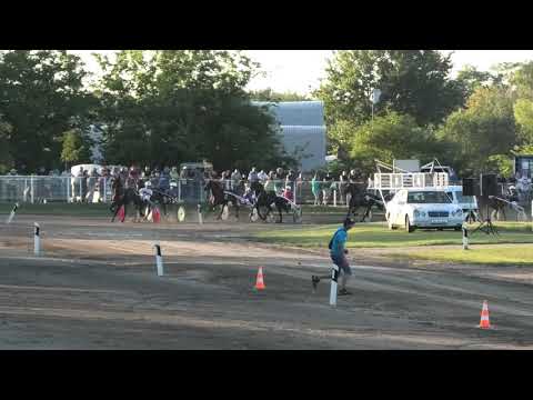 Trka "Credits by Myself" 15.09.2019 Halydar - Miodrag Pantić