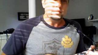 Invisible Birds, &quot;Will Ray&quot; (Hellecasters) ukulele cover song