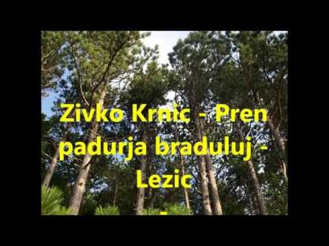 Zivko Krnic   Pren padurja braduluj