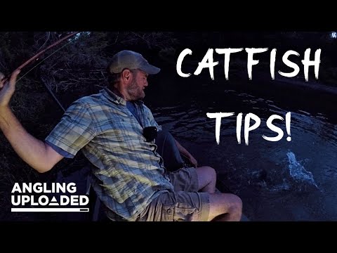 Tips for Catching Summertime CHANNEL CATFISH in SMALL RIVERS