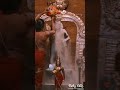 God Murugan Tamil Shorts Video Whatsappstatus Palani Murugan Tamil Whatsapp Status