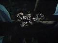 Disney Monster Hits Thriller