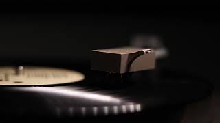 War -  In Mazatlan (Vinyl)