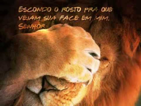 Até Um Dia video