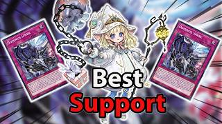 White Forest Deck Profile | Post BLZD