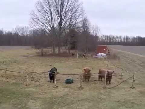 Promotional video thumbnail 3 for John Bashian Photography