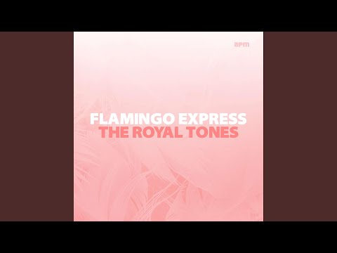 Flamingo Express