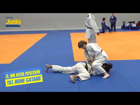 Utbildningssystem 2: Ne Waza System 2
