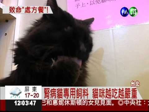 "法皇"飼料處方出包 腎病貓險沒命