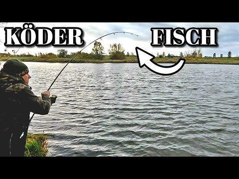 Fishing in autumn with bait for predatory fish. Fishing for pike, perch, zander, and the like.