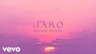 Adam Mišík - JARO (Official Lyric Video)