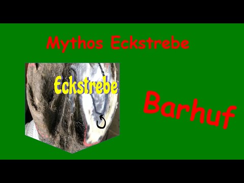 Barhuf - Mythos Eckstreben. Hufe beurteilen, verbessern, erhalten!