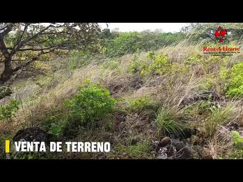 🌿 Terreno en Venta en Veraguas.Gran oportunidad de inversión en La Mesa, cuenta 1 hectárea + 0848 m²