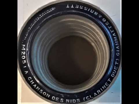 La chanson des nids - Fantaisie Polka - Anthony Giammatteo and Fred J. Brisset