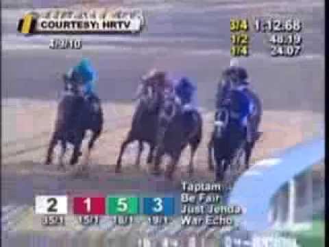 Zenyatta Greatest Race Horse Of All Time! Montage - All 19 Wins