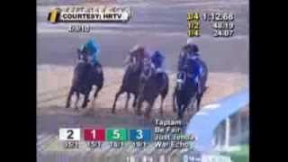 Zenyatta Greatest Race Horse Of All Time! Montage - All 19 Wins