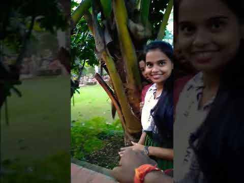 Surprising Giving Chocolate 🍬To Stranger🤩