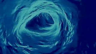 The Dickies -  Waterslide