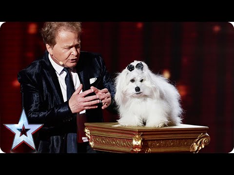 Marc Métral and Miss Wendy wow the crowd | Semi-Final 4 | Britain's Got Talent 2015