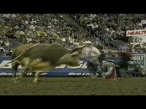 Hollywood bucks Chris Shivers - 02 PBR Columbus