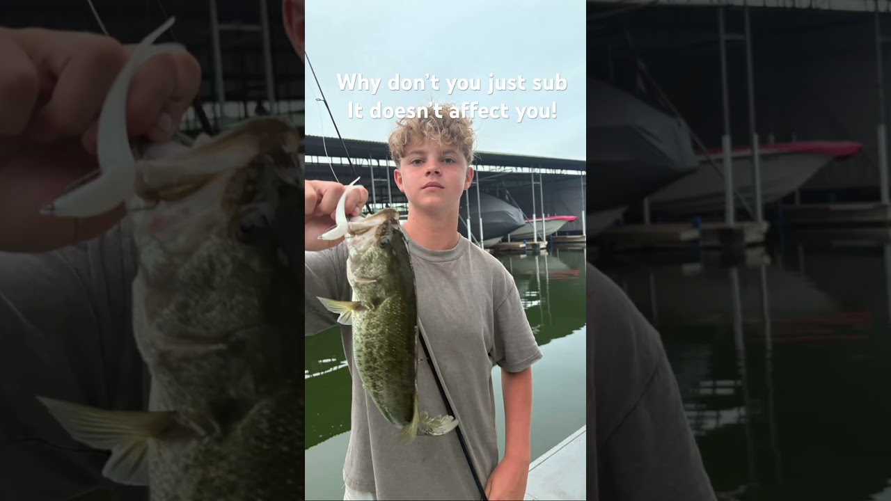 Cmon guys #catfishing #bigcatfeverrods #fishing #bigfishvideos