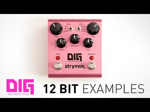 Strymon DIG - 12 Bit Audio Examples - Dual Digital Delay