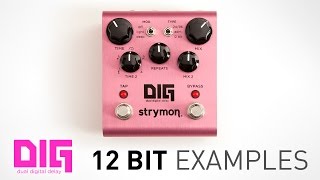 Strymon DIG Dual Digital Delay Video