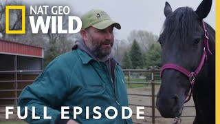 May the Horse Be With You (Full Episode) | Heartland Docs, DVM