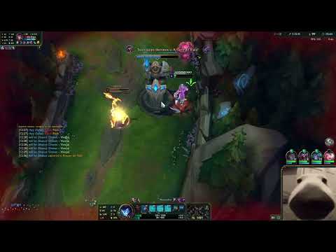 Que dive limpo da lillia